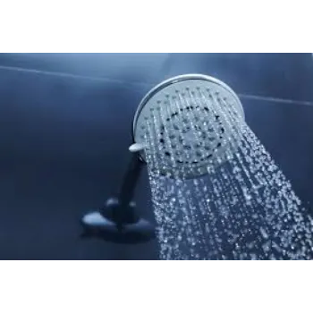 Shower Head